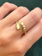 Anillo Argentum 2 – Bronce