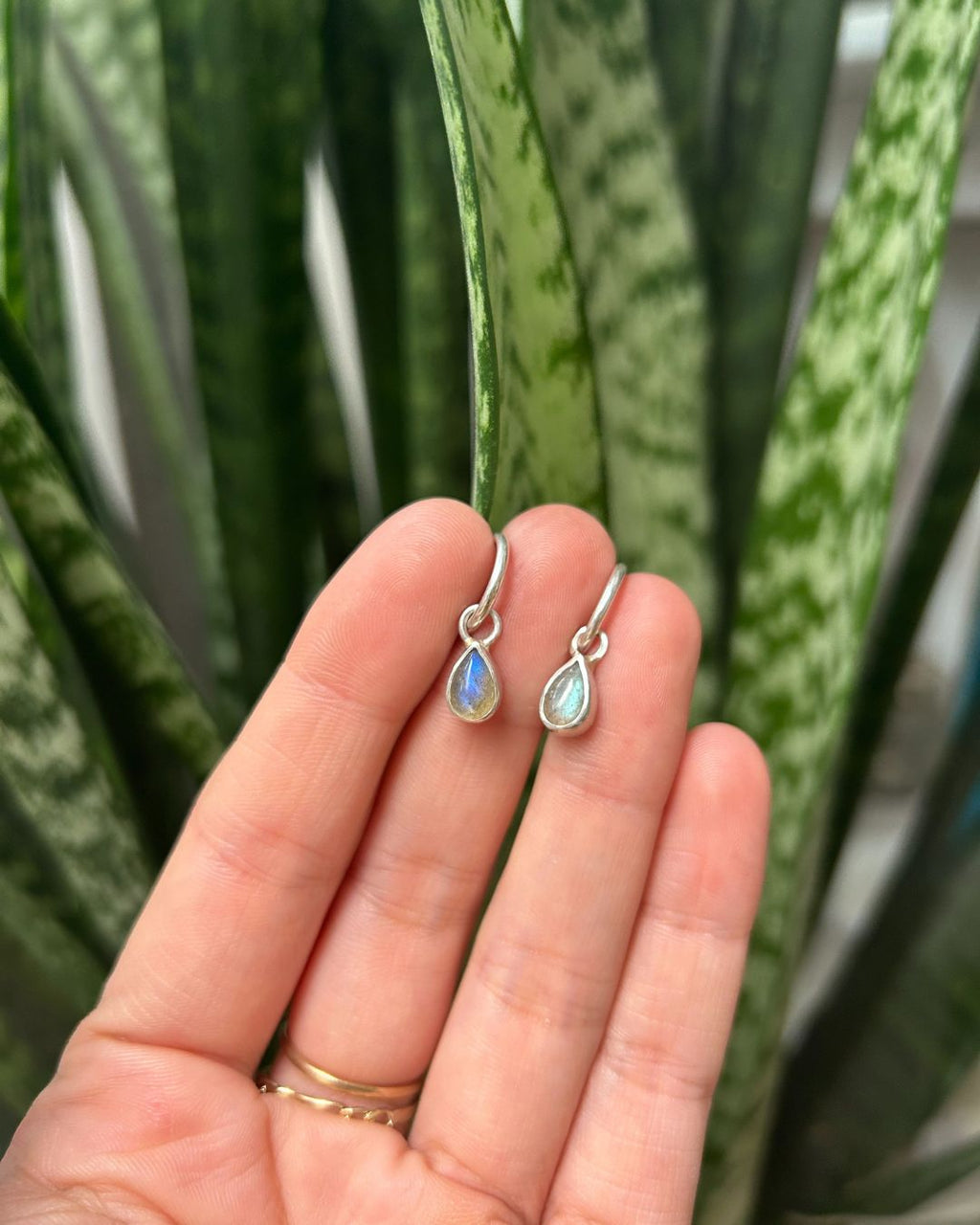 Aros Fibulae – Plata 950