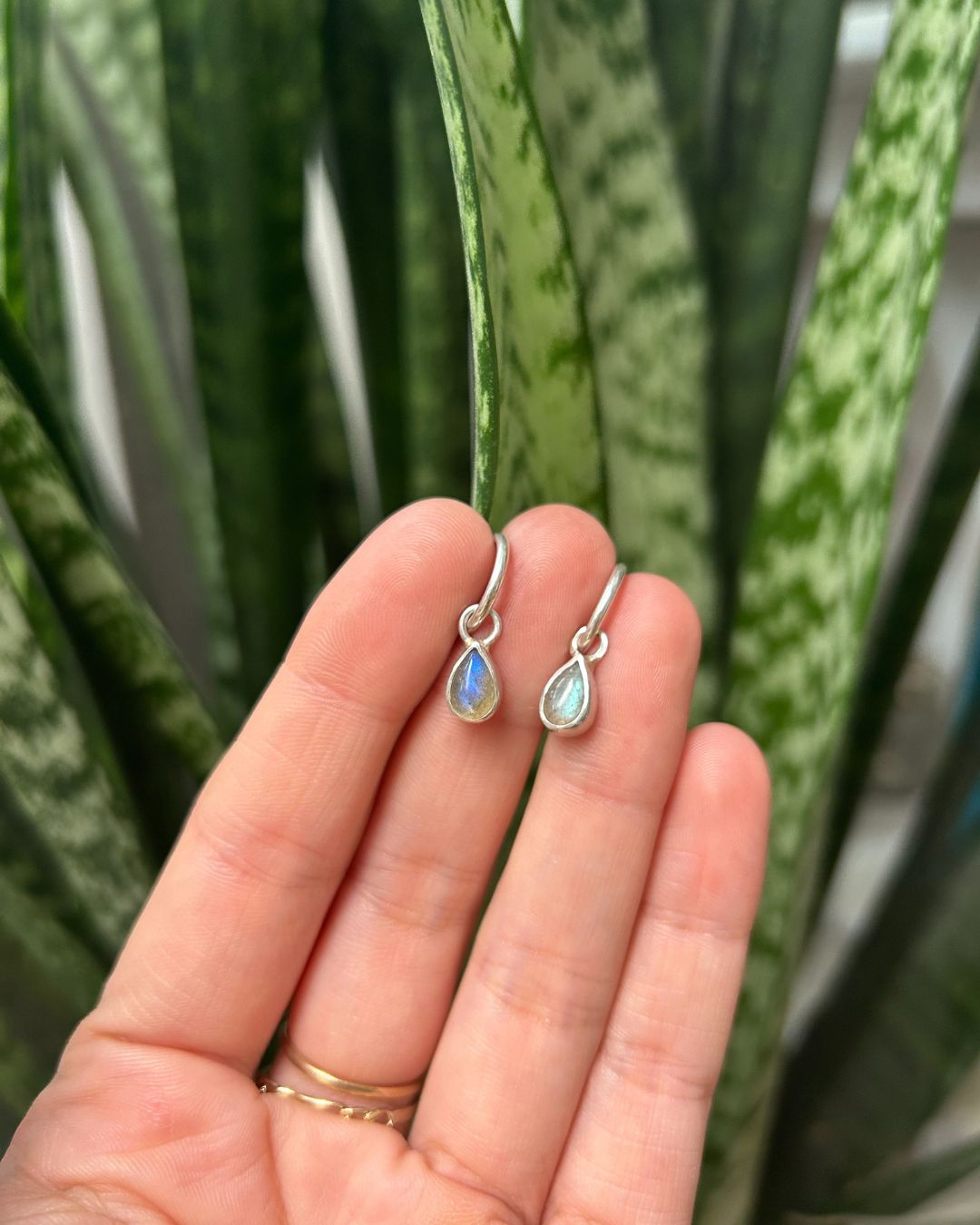 Aros Fibulae – Plata 950