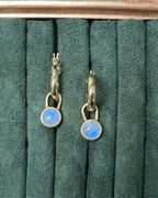 Aros Fibulae – Bronce enchapado en Oro