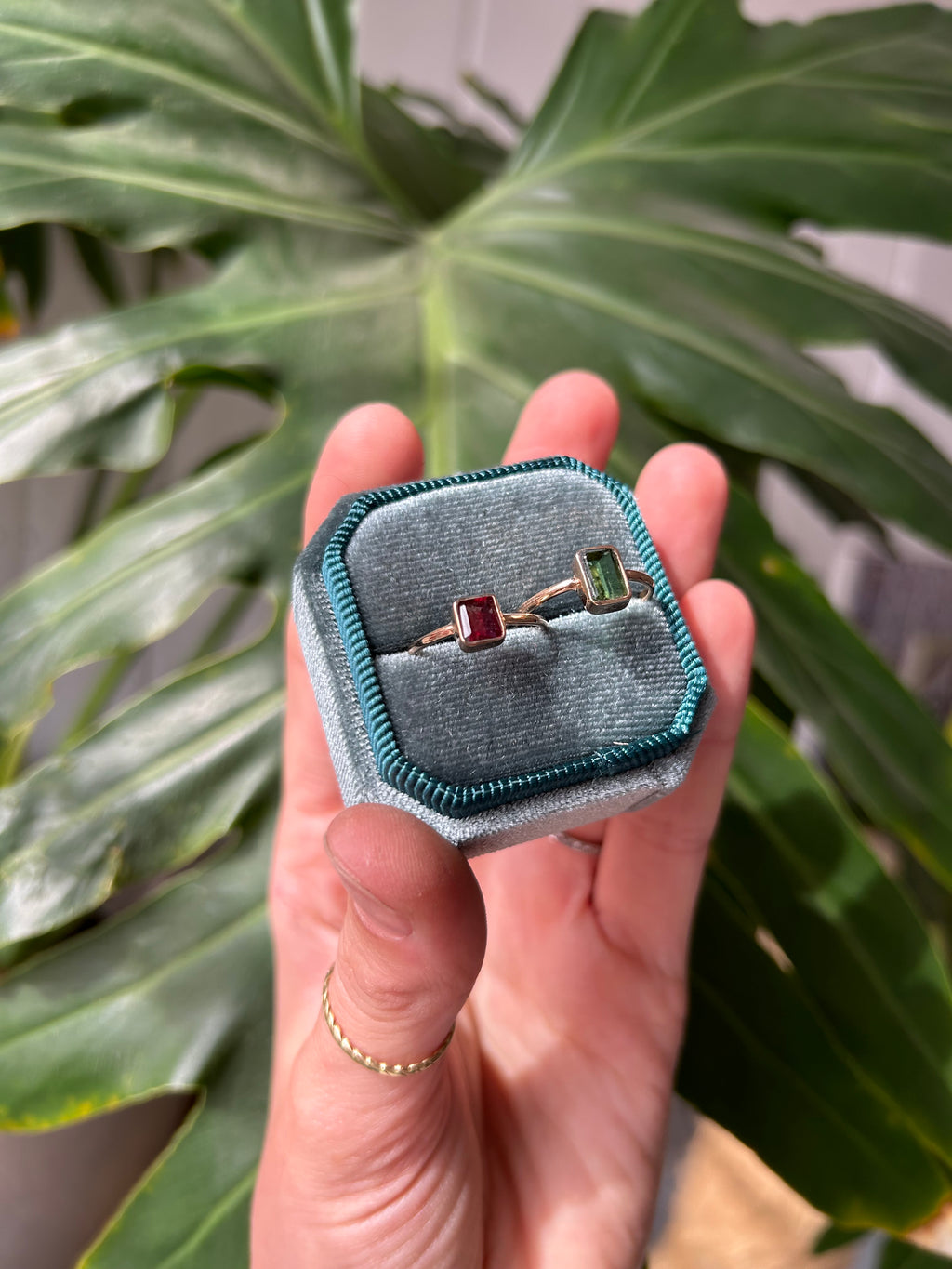 Anillo Fernanda – Oro