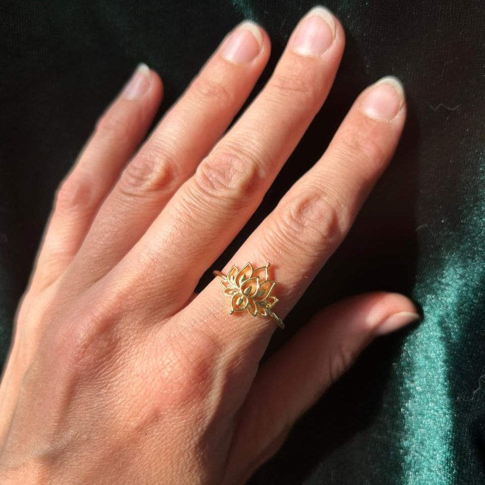 Anillo Argentum 6 – Bronce