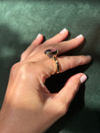 Anillo Molina – Oro