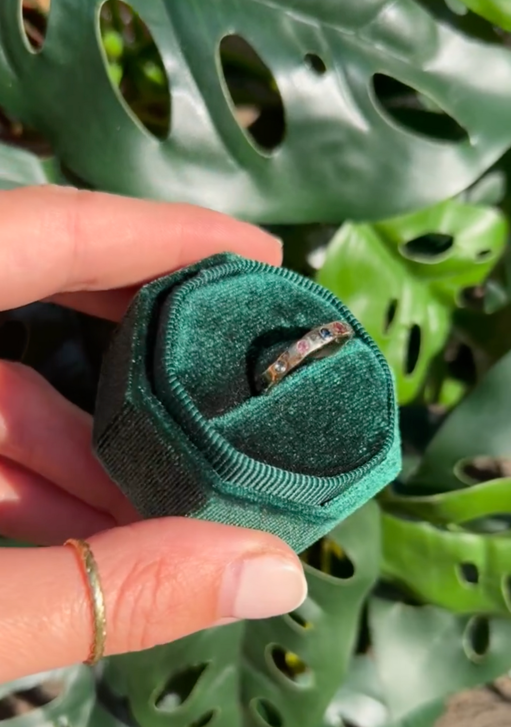 Anillo Nobilis – Oro