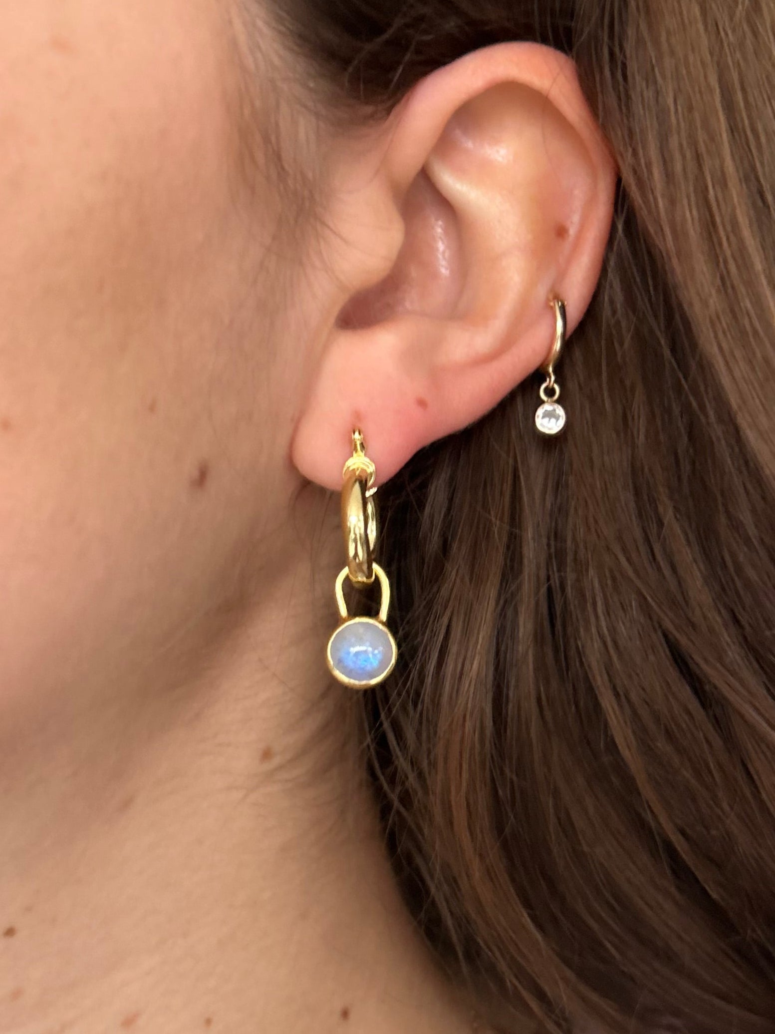 Aros Fibulae – Bronce enchapado en Oro