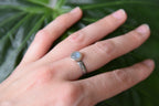Anillo Medii Aevi – Plata 950