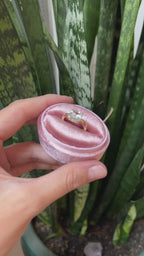 Anillo Claudia – Oro